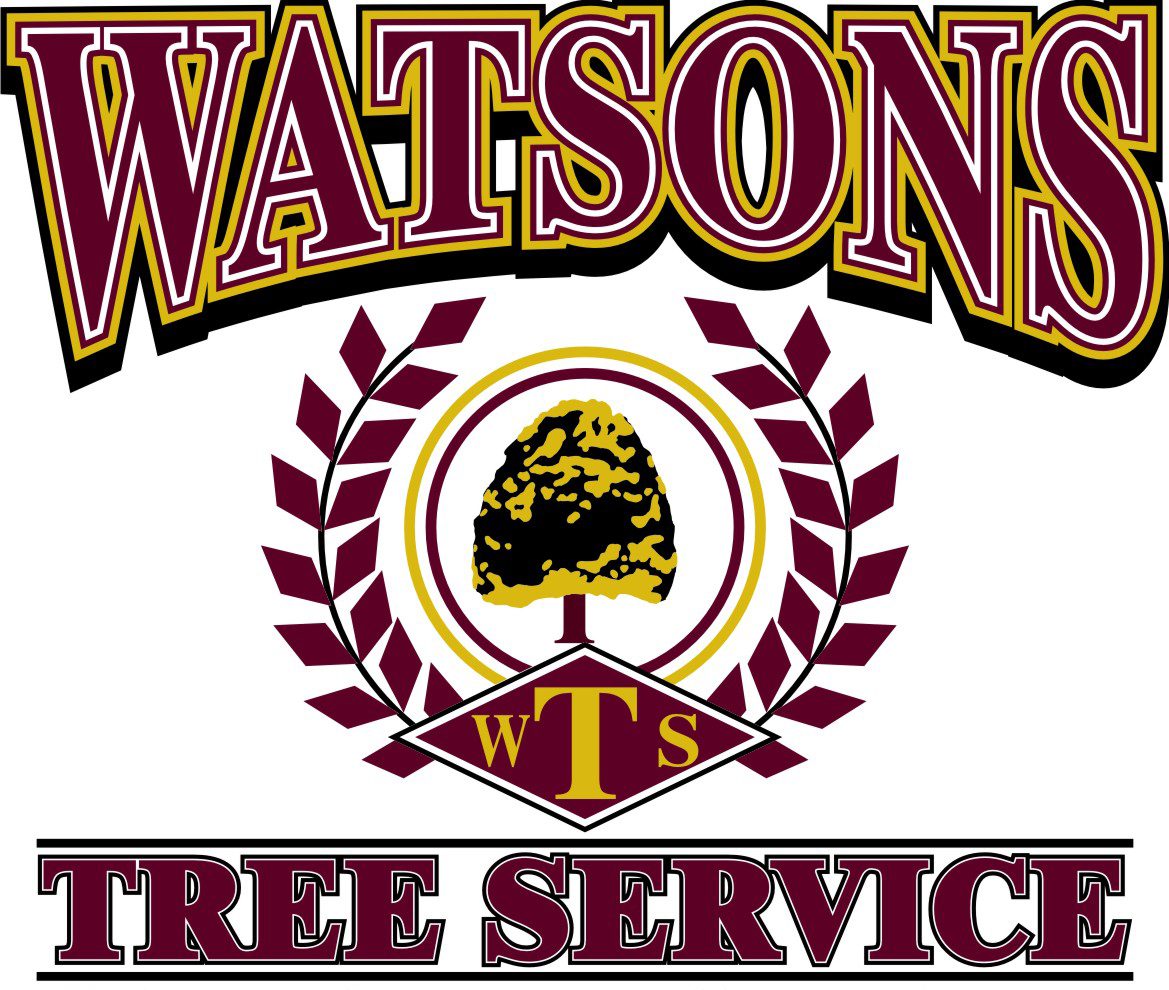 Tree service emblem with leaves