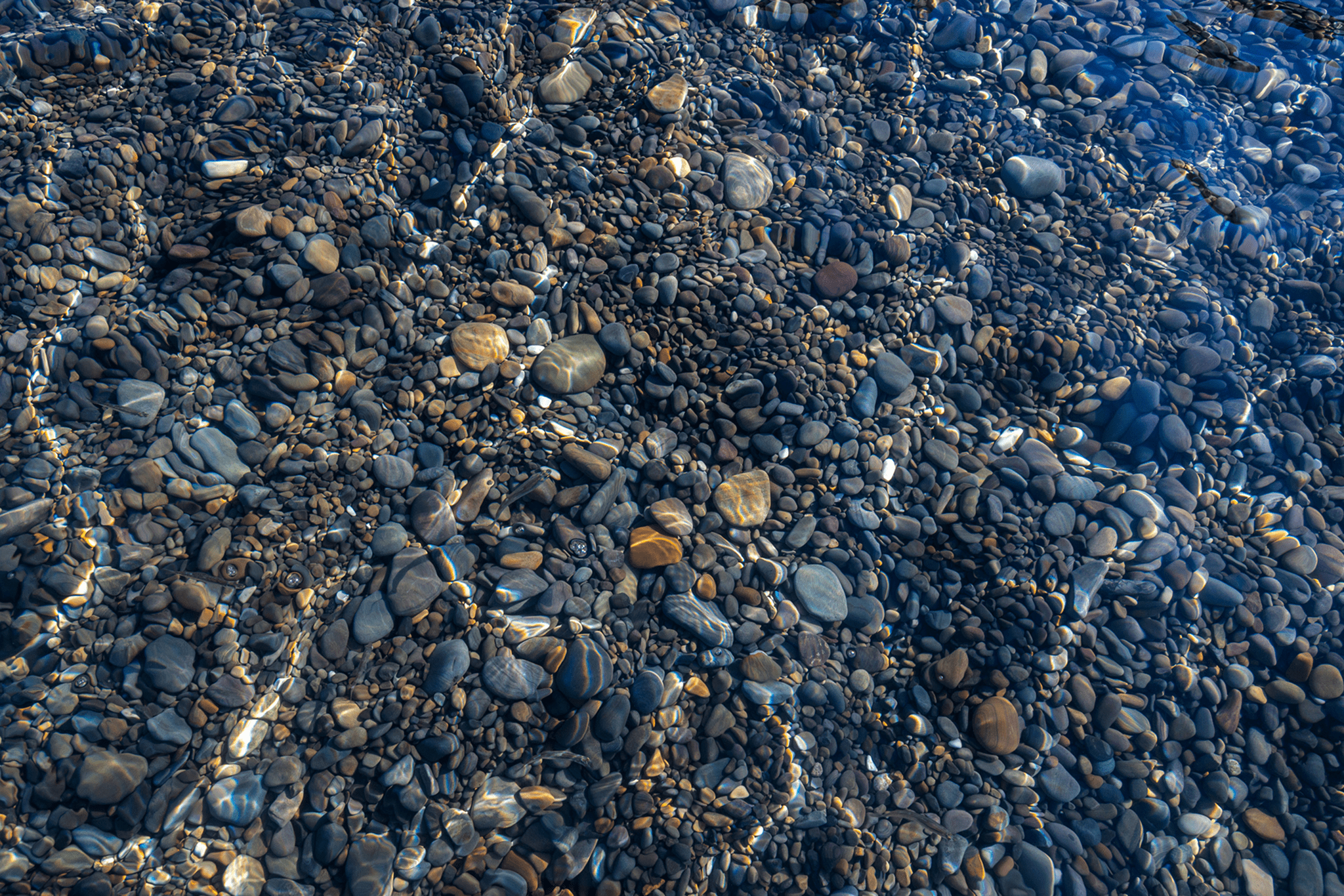 69248a4533815_IMG_3286 1 (2)