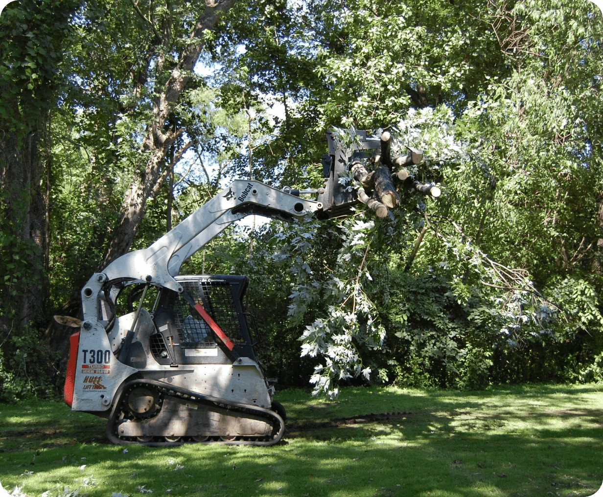 Skid steer carrying cut branches outdoors