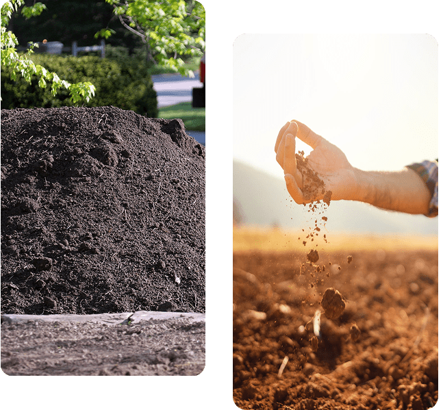 Pile of soil outdoors